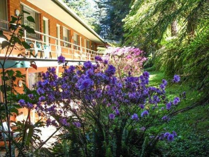 The Warby, Where Mid-Century Style Meets The Mountains Warburton Exterior foto